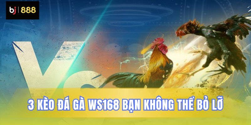 Ba loại cược đá gà WS168 đặc sắc