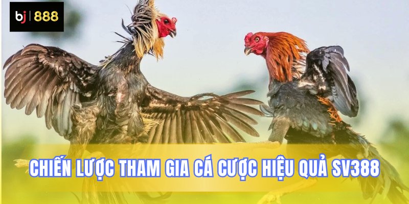 Mẹo chơi mang lại hiệu quả cao