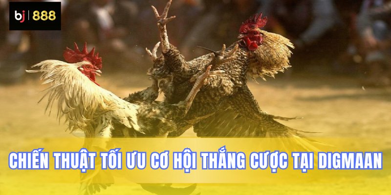 Cách gia tăng cơ hội chiến thắng ở Digmaan