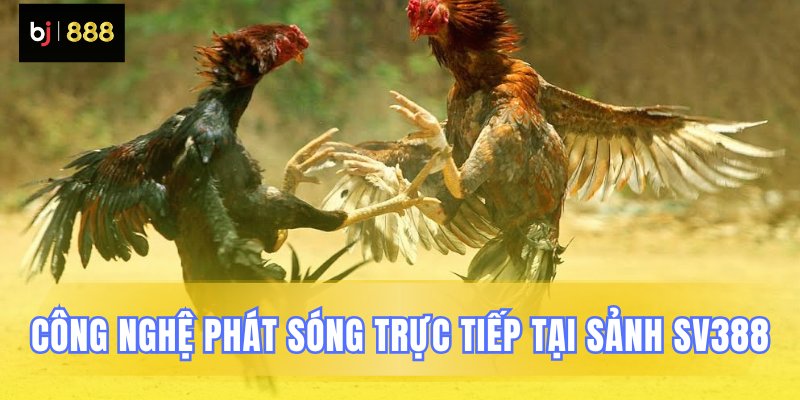 Kỹ thuật livestream trực tiếp ở SV388