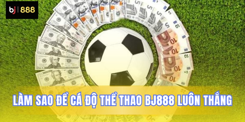 Phương pháp phân tích kèo đấu chuẩn như pro