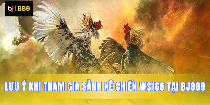Điều cần biết khi chơi WS168 BJ888