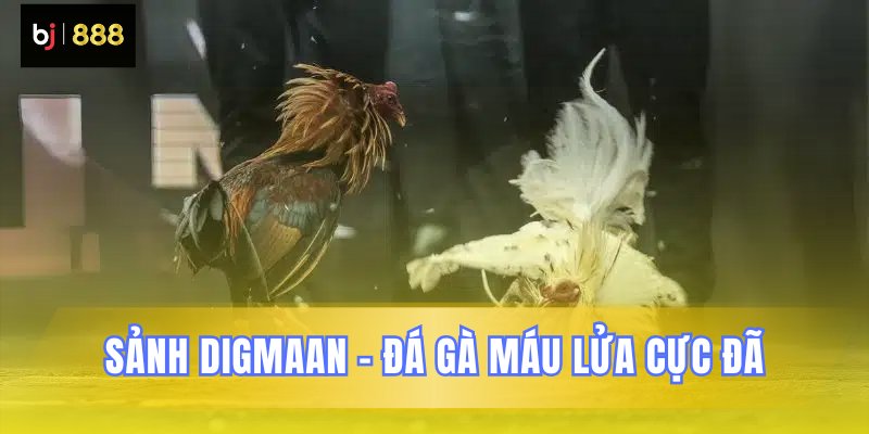 Sảnh Digmaan mang đến trận đấu kịch tính