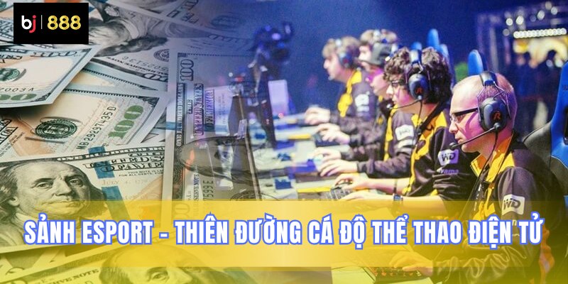 Không gian cá độ Esport đỉnh cao nhất
