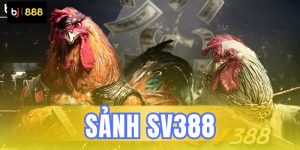 sảnh sv388