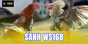 sảnh ws168